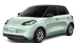 วู่หลิง Wuling Binguo EV DC ICON ปี 2025